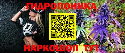 амф Нальчик