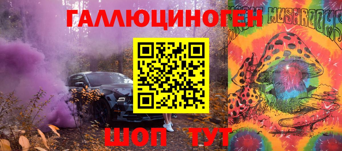 Псилоцибиновые грибы Psilocybe Строитель